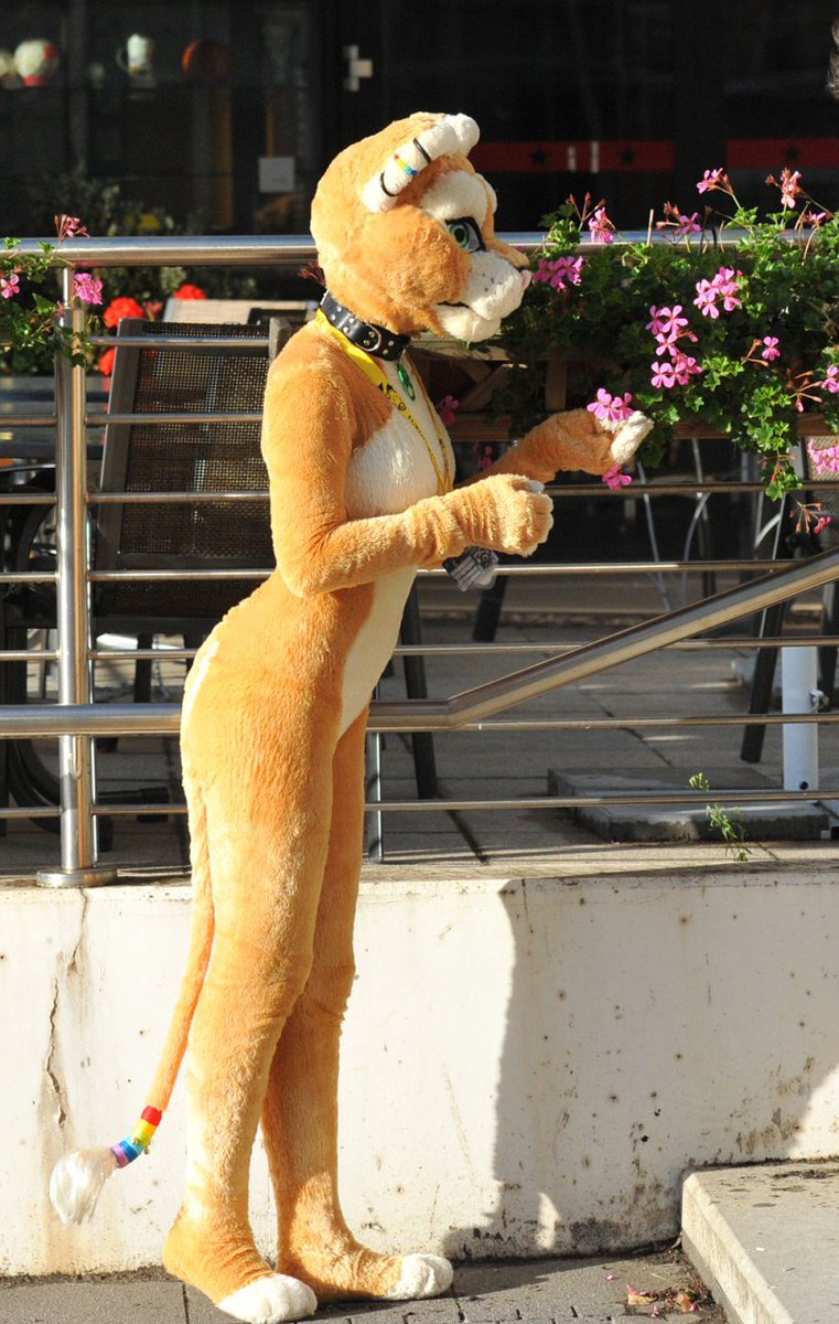 Eclipse Warnock tweet media