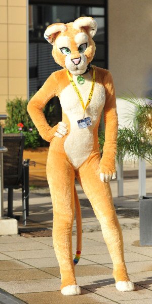 Eclipse Warnock tweet media