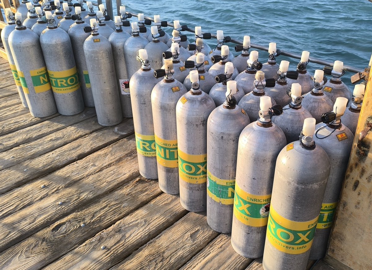 Takhle si dokážu tu plnou Letnou představit...🤗