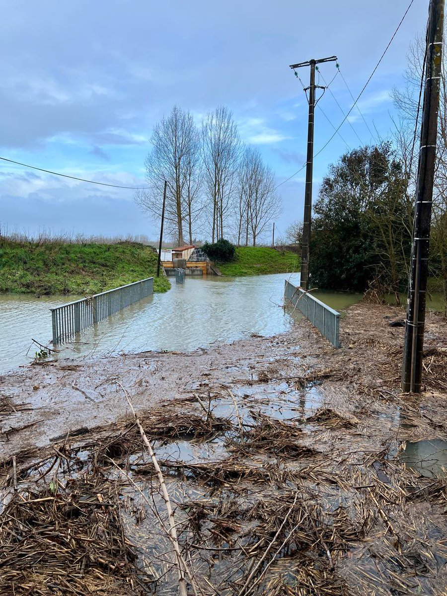 Marie-Pierre Vedrenne tweet media