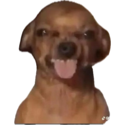 Not me excited for getting a new washer 😭😭☠️