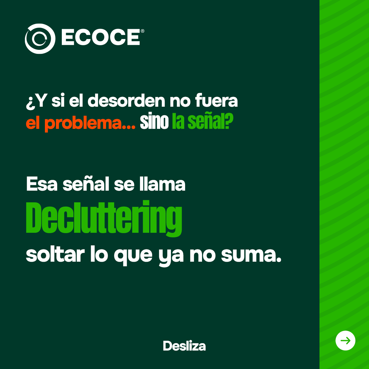ECOCE A. C. tweet media