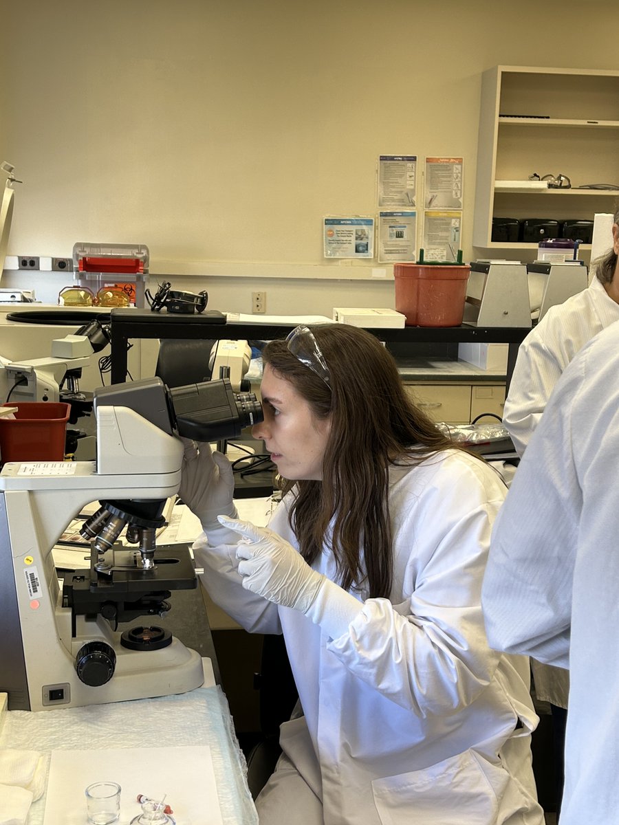 UConnAHS's tweet image. Our students toured @uconnhealth labs!

"The experience gave me an educational glimpse into the lives of various Medical Lab Scientists." - Alexa Lewis, AHS sophomore

MLS Grad Program: tinyurl.com/55mr7d8e
MLS Undergrad Program: tinyurl.com/4y59d2ds

@UConnCAHNR