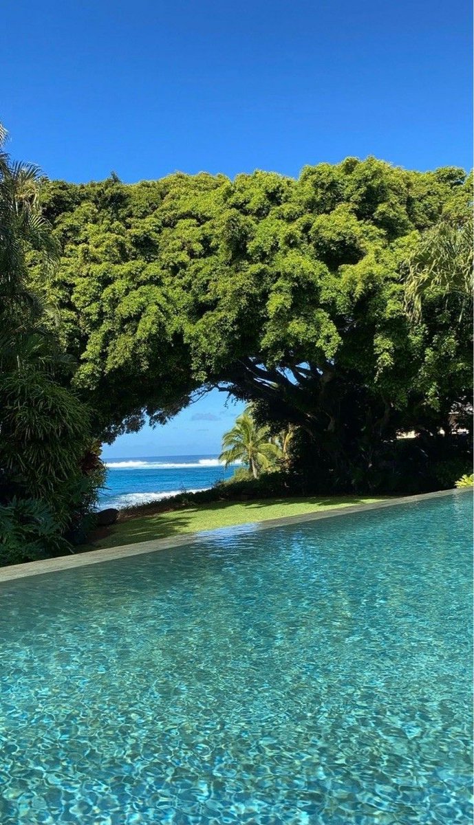 "La elocuencia es el poder de traducir una verdad en un lenguaje perfectamente inteligible para la persona a la que usted habla." – Ralph Waldo Emerson.