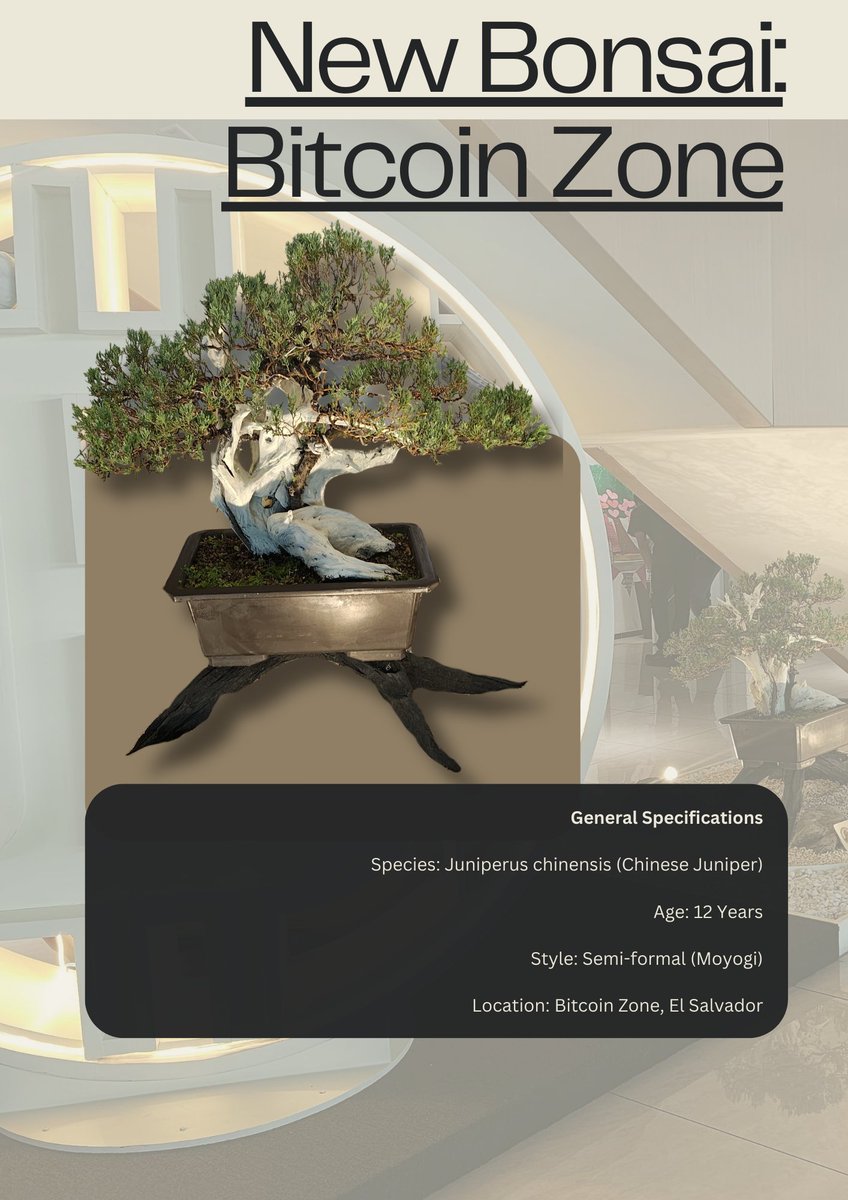 BitcoinZoneSV 🇸🇻 tweet media