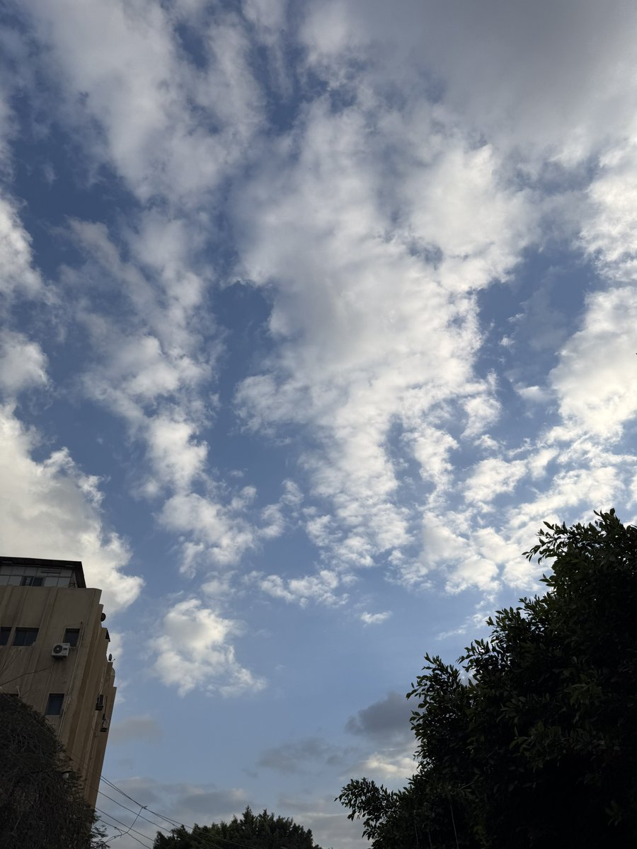 ma7moud3mr_'s tweet photo. https://t.co/u0tvhQhlSd