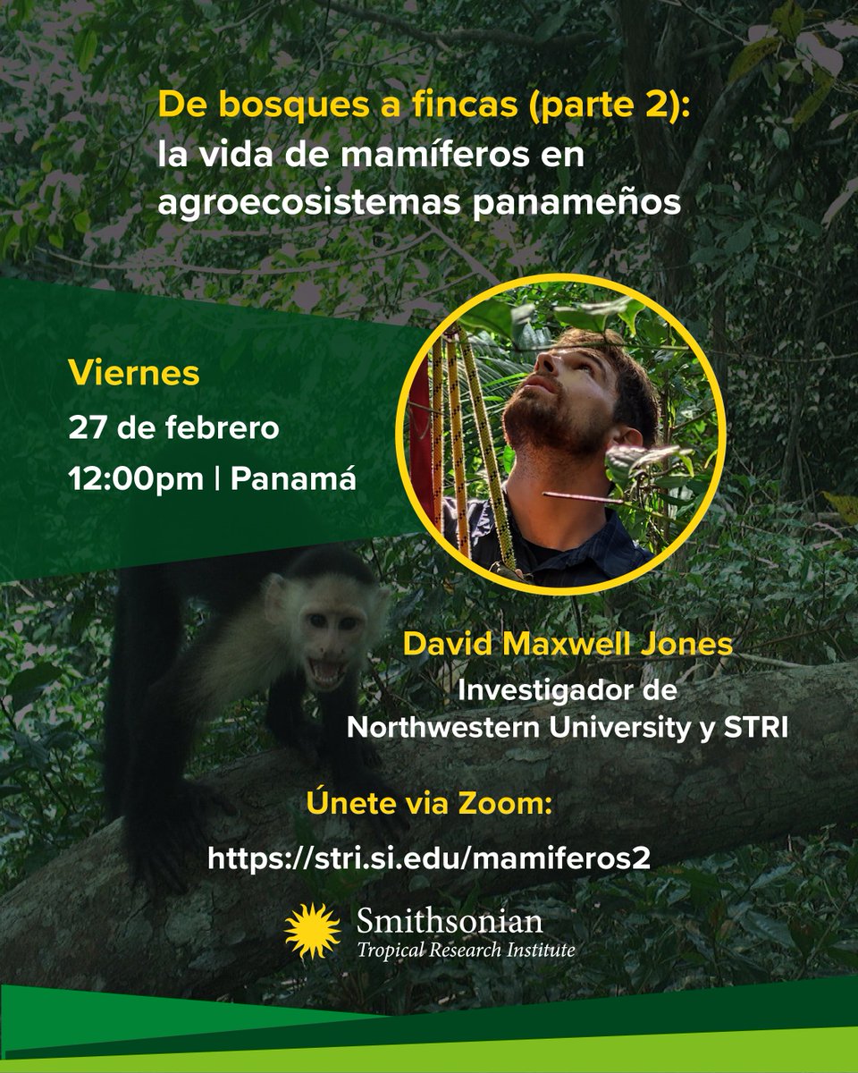 Únete a la charla virtual, «De bosques a fincas (parte 2): la vida de mamíferos arbóreos en agroecosistemas panameños»

📅 Viernes 27 de febrero

⏰ 12:00pm 

Presentada por: David Maxwell Jones, Northwestern University y #STRI

🔗 Zoom: stri.si.edu/mamiferos2