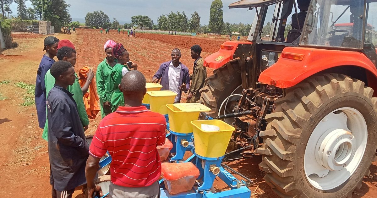 Olemutai tweet media