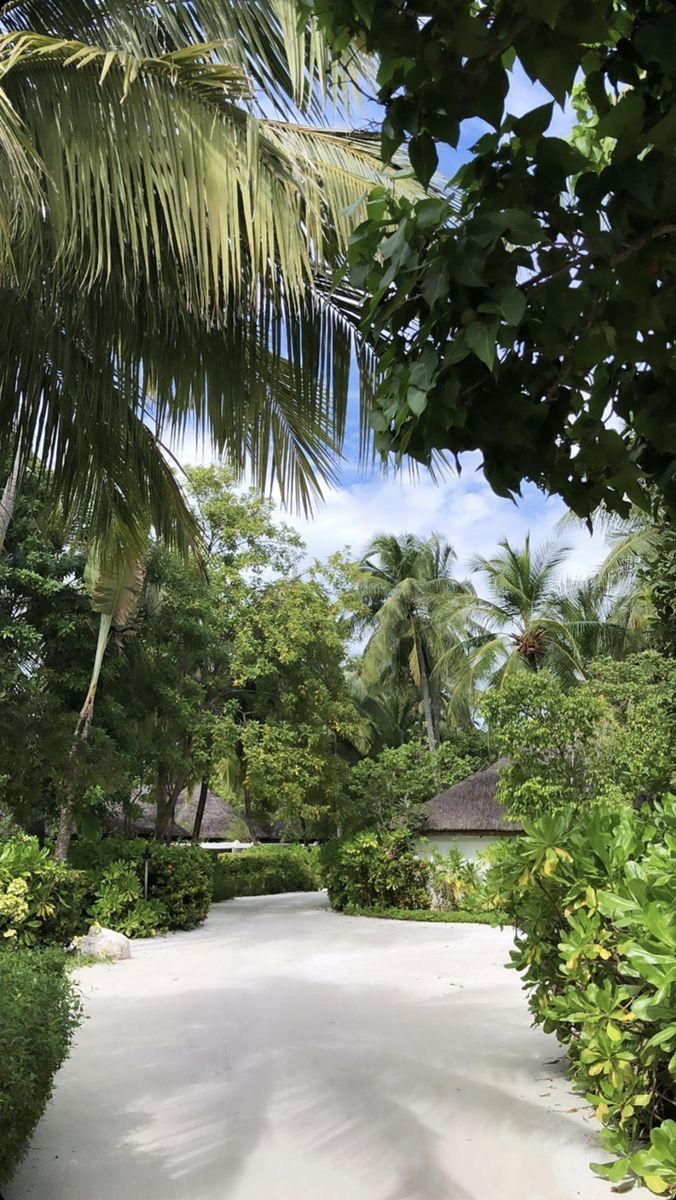 "La naturaleza vuelve a los hombres elocuentes en las grandes pasiones y en los grandes intereses." 

Voltaire.