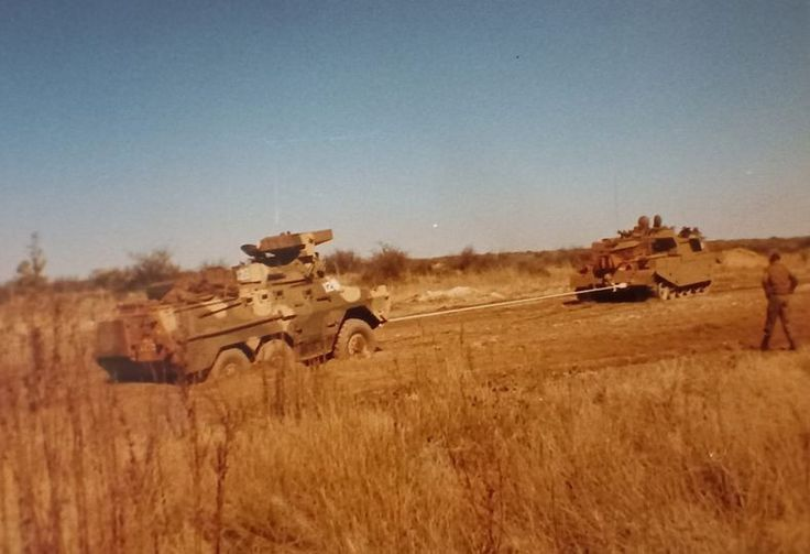 Mike the Warthog tweet media