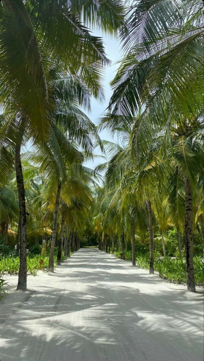 El discurso elocuente no es de boca a oreja, sino de corazón a corazón. 
#FrasesBuenas.