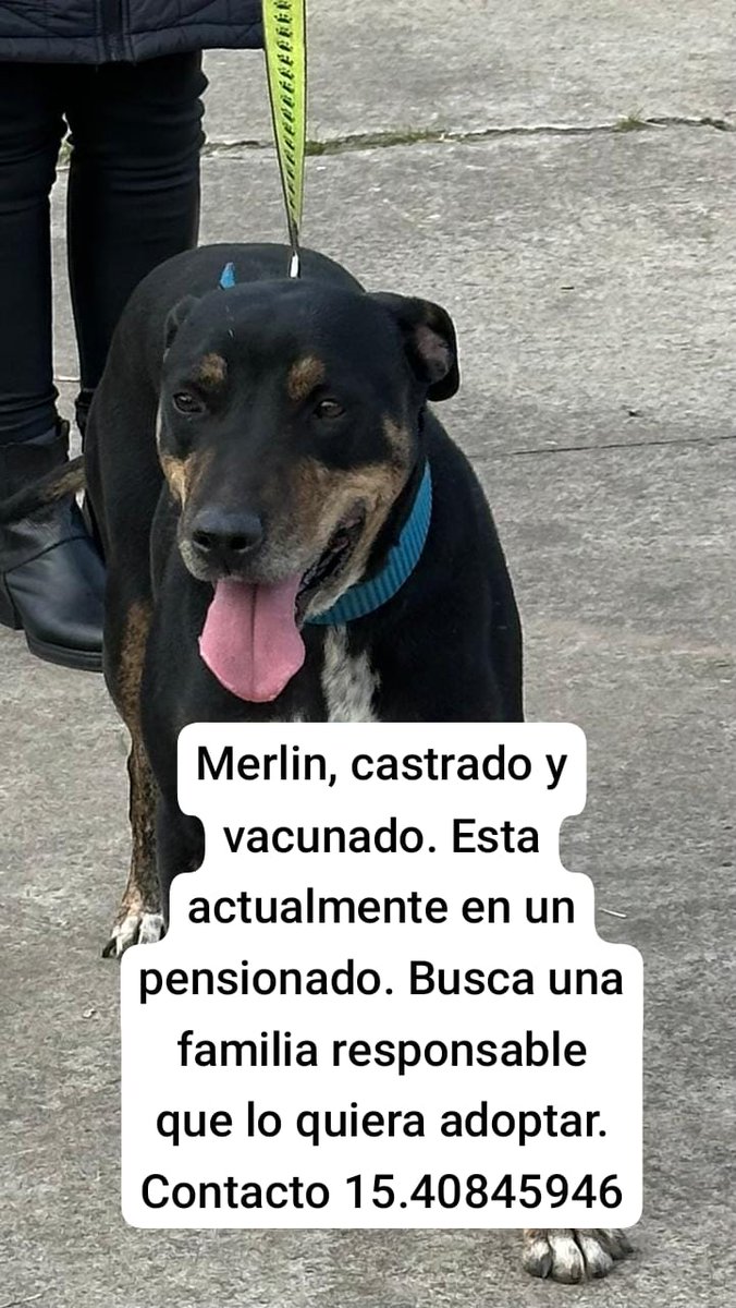 Difundimos
