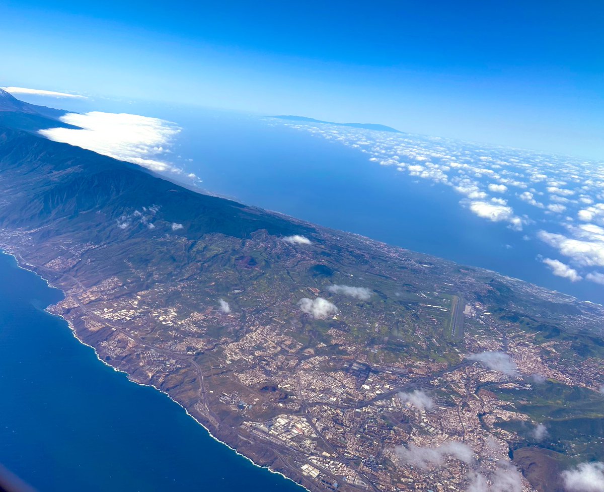 fat girl walking tweet media