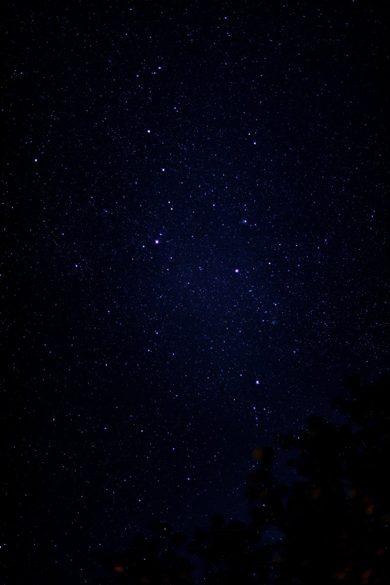 Stars of the galaxy