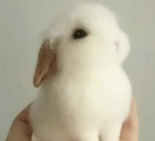 CCCervino the Ultimate Orchardist tweet media