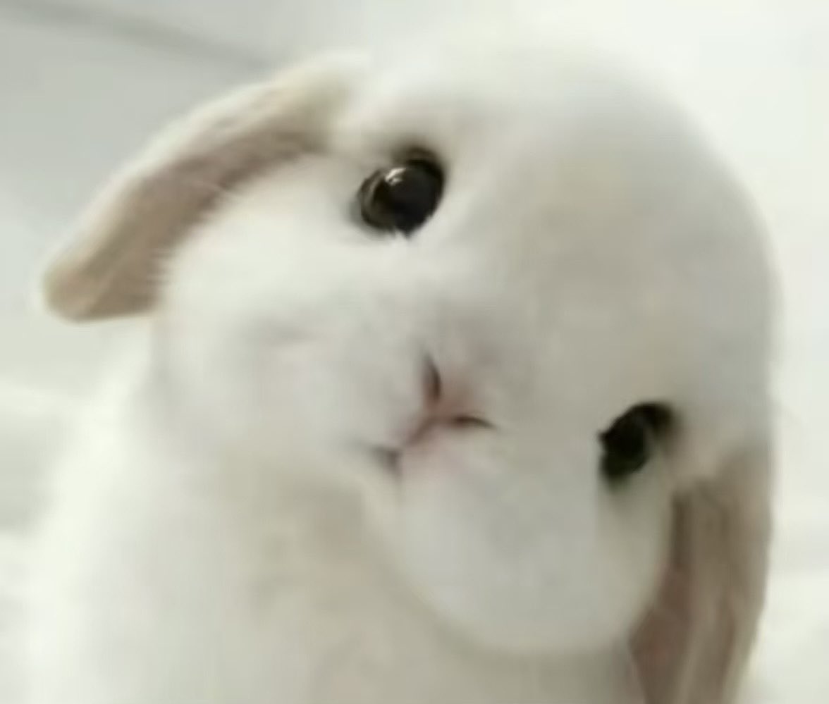 CCCervino the Ultimate Orchardist tweet media