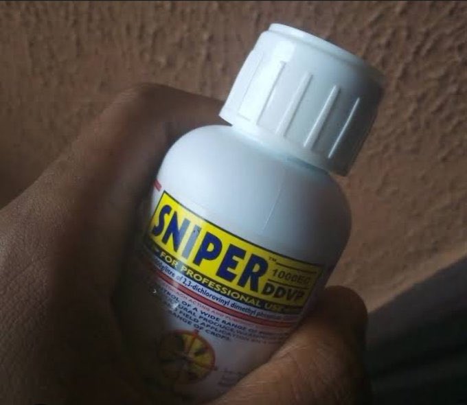 HORNACIS FLEGREA tweet media