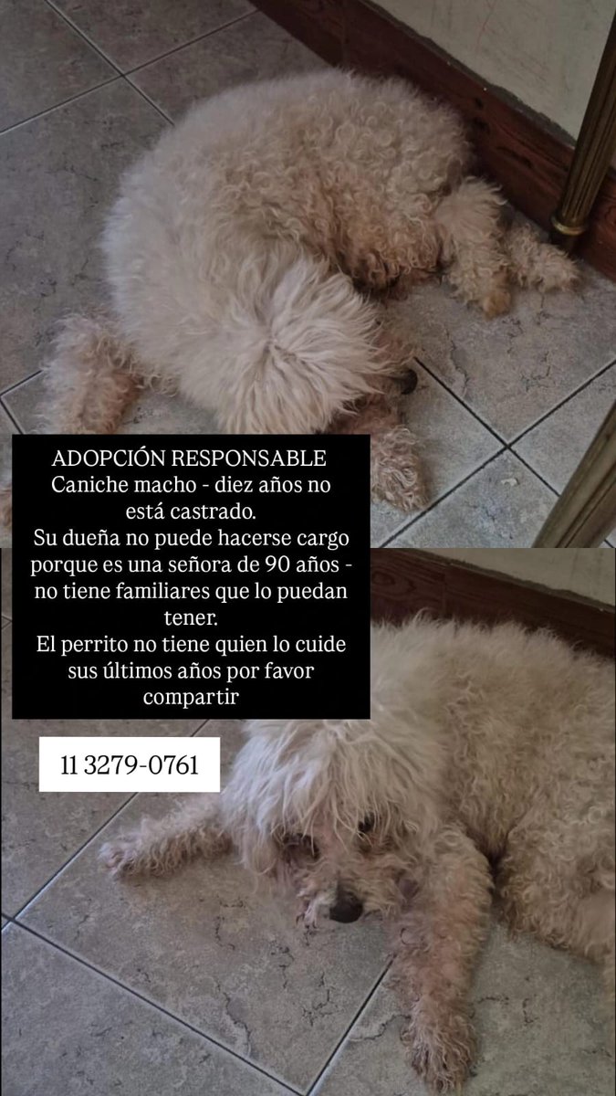 Difundimos