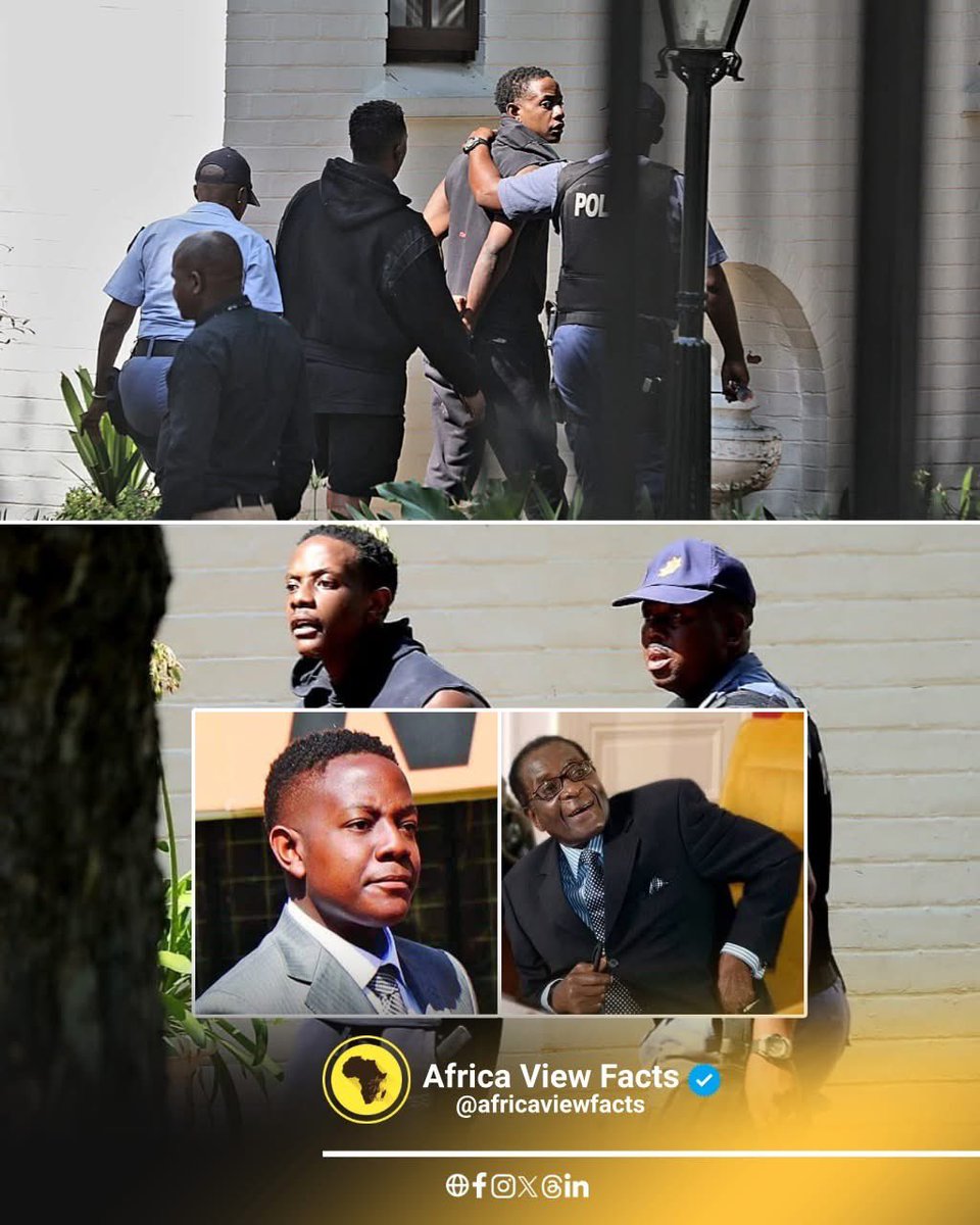 Operation Dudula tweet media