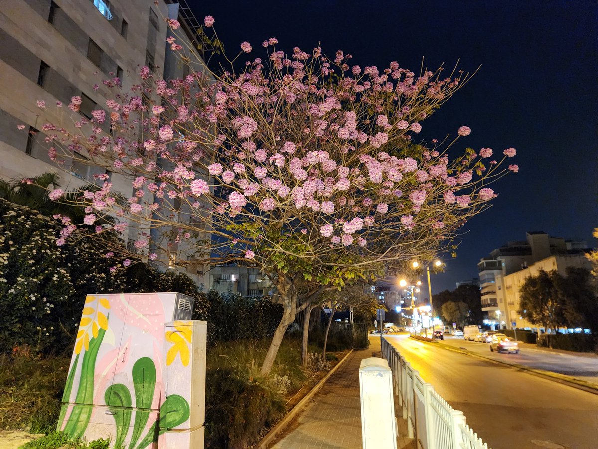 SquaDuspoid's tweet photo. Saw this and had to stop to take a pic! https://t.co/ZW40xZ03sT