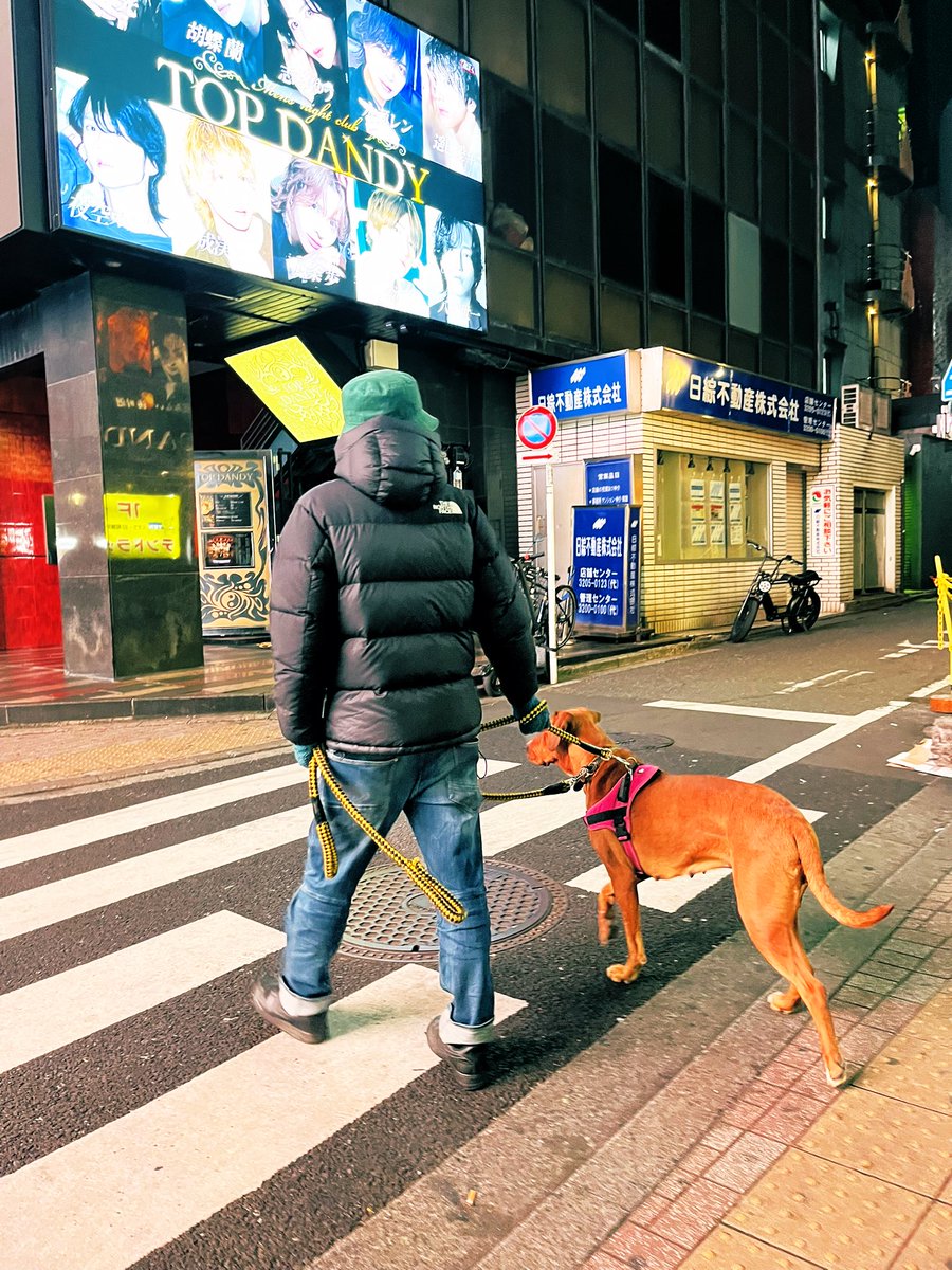 メロウ、ホストクラブへ行く。の巻