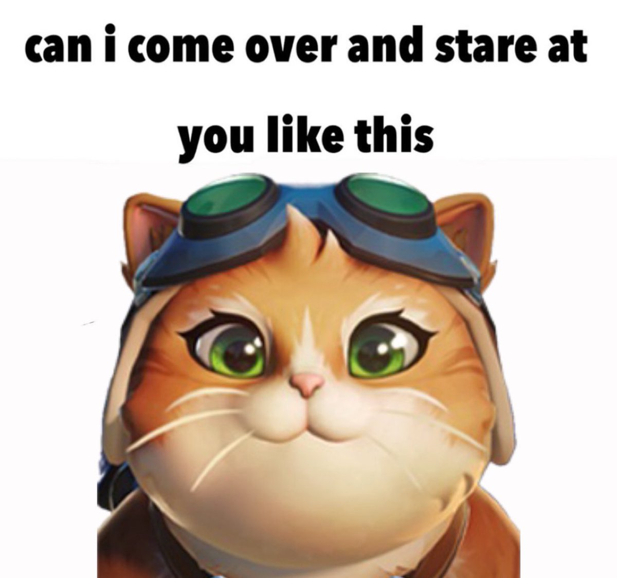 opheddie's tweet image. 