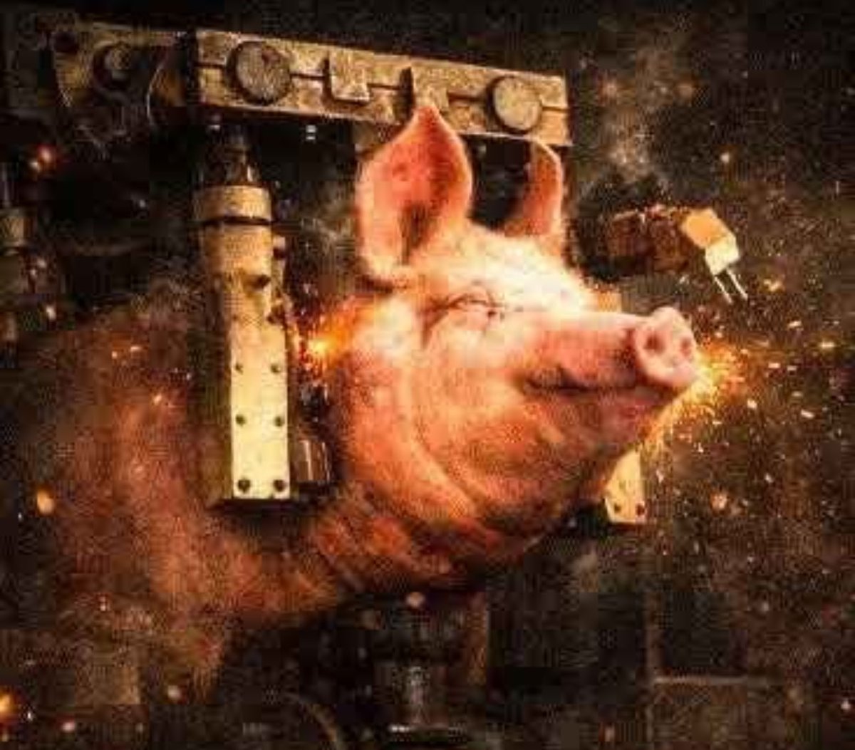 Mystayor 兽 💹🧲 tweet media