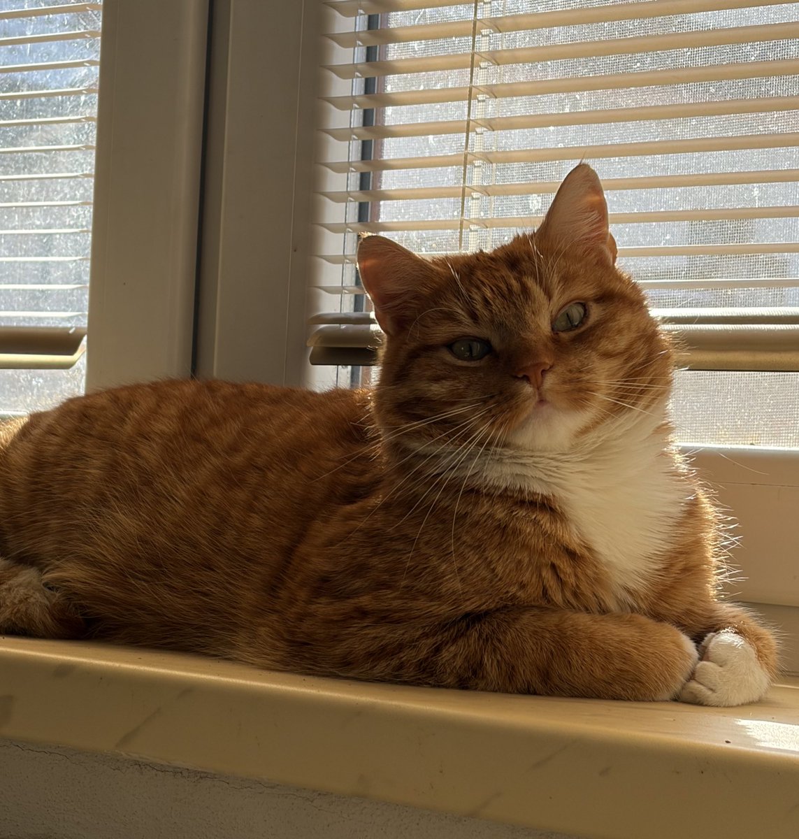 Jeho home office vypadá o kus líp