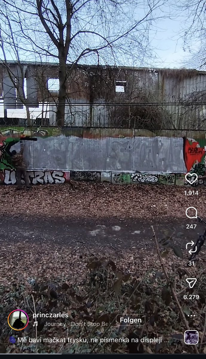 aal | gio & shuto ultra tweet media