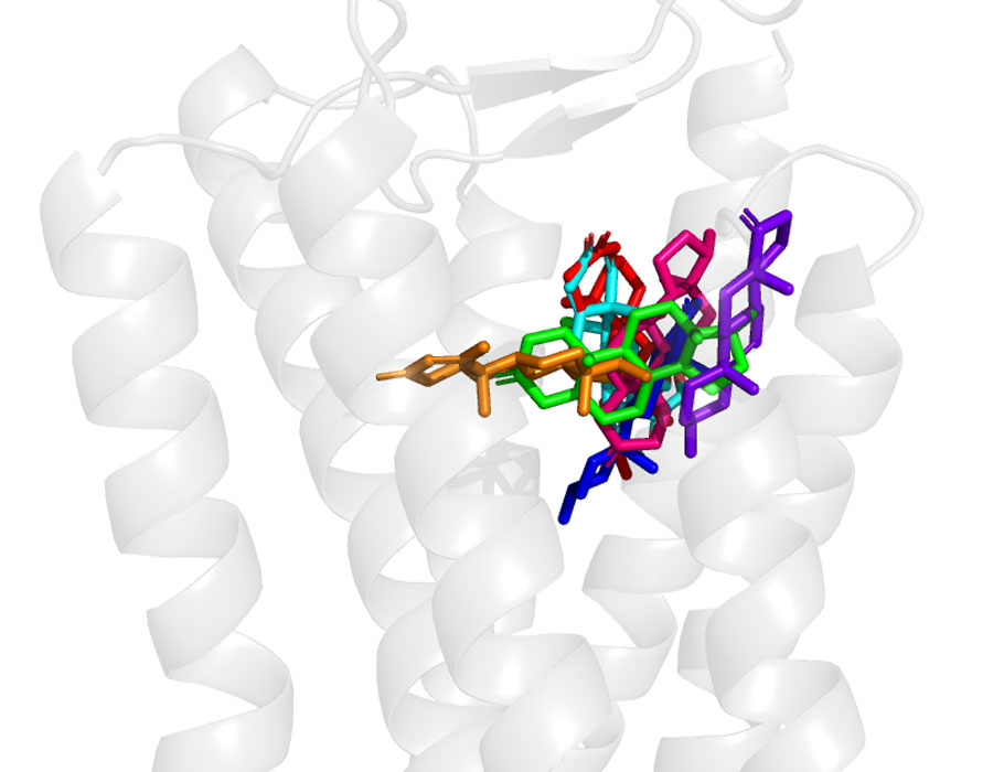 Science Signaling tweet media