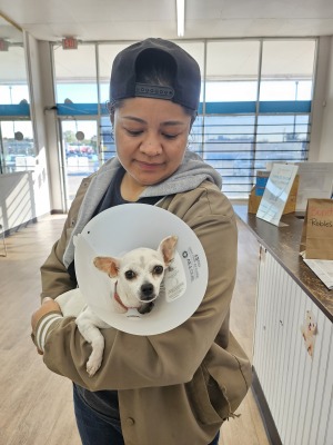 Spay Neuter Network tweet media