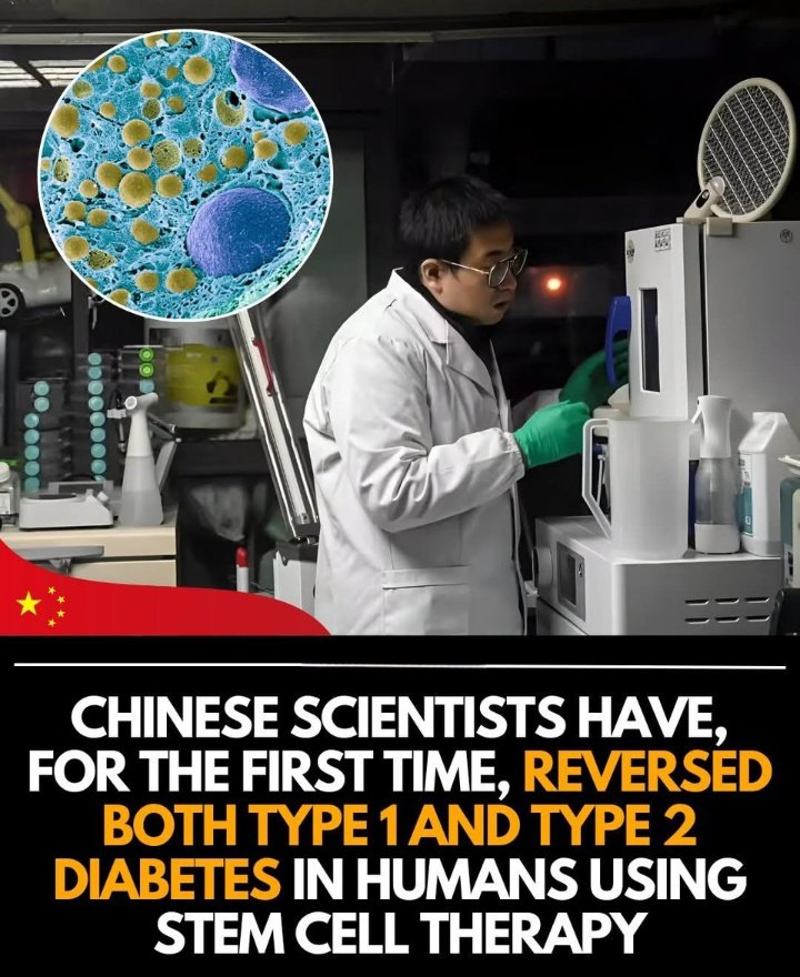 DEMOCRACIAPONTO's tweet image. 🚨 URGENTE: CHINA DESCOBRE CURA PARA DIABETES 

A China surpreende o mundo com os cientistas chineses anunciando CURA DAS DIABETES tipo 1 e 2, usando células tronco e conseguiram fazer o corpo VOLTOU A PRODUZIR INSULINA. 🔽