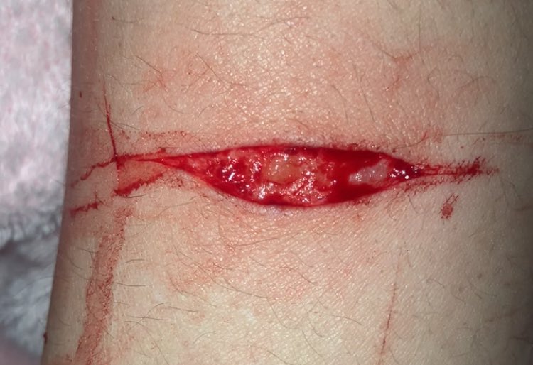 ⊹ ࣪ ౨ৎ˚₊ shedtwt tweet media