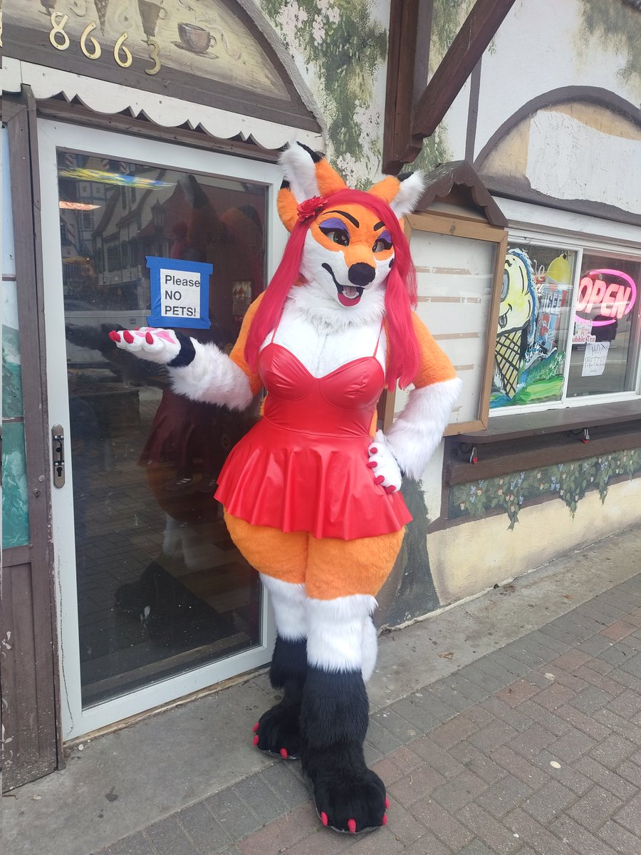 🐦Birds of Prey 🦊 tweet media