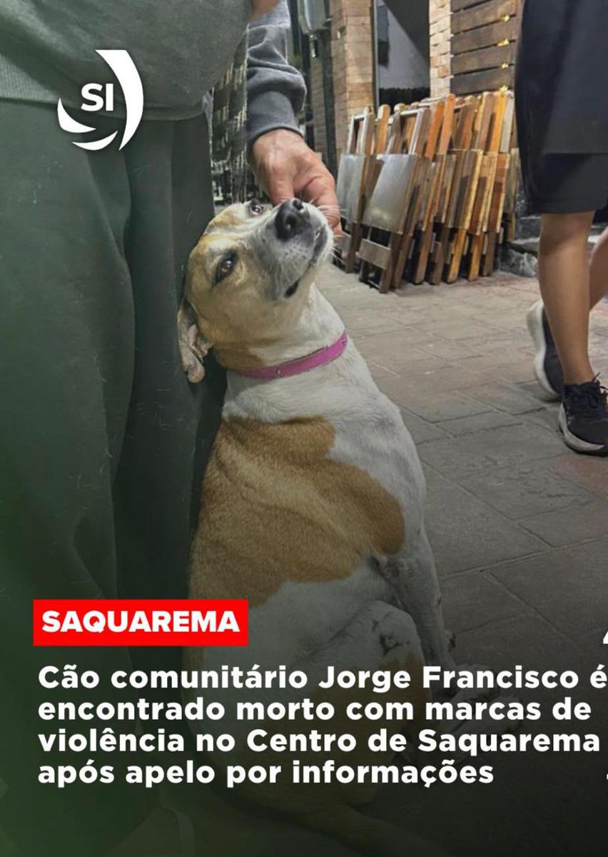 joaofig's tweet photo. 😱🚨 CHOQUE com a CRUELDADE em SAQUAREMA! 🐶💔 O cão comunitário JORGE FRANCISCO, amado por todos no Centro da Vila, foi encontrado MORTO na Praça da Pedra com sinais de VIOLÊNCIA EXTREMA: pata C 0 R T a D a , ferimento p e R f u R a n t e  no pescoço e fratura cervical. 😡 Isso N��O pode ficar IMPUNE! Comunidade EXIGE JUSTIÇA agora! ⚖️🔥 #JustiçaParaJorgeFrancisco #ContraMausTratosAnimais #Saquarema