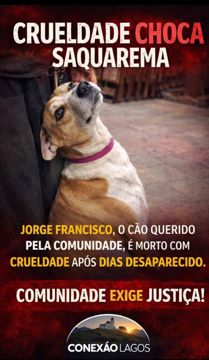 joaofig's tweet photo. 😱🚨 CHOQUE com a CRUELDADE em SAQUAREMA! 🐶💔 O cão comunitário JORGE FRANCISCO, amado por todos no Centro da Vila, foi encontrado MORTO na Praça da Pedra com sinais de VIOLÊNCIA EXTREMA: pata C 0 R T a D a , ferimento p e R f u R a n t e  no pescoço e fratura cervical. 😡 Isso N��O pode ficar IMPUNE! Comunidade EXIGE JUSTIÇA agora! ⚖️🔥 #JustiçaParaJorgeFrancisco #ContraMausTratosAnimais #Saquarema