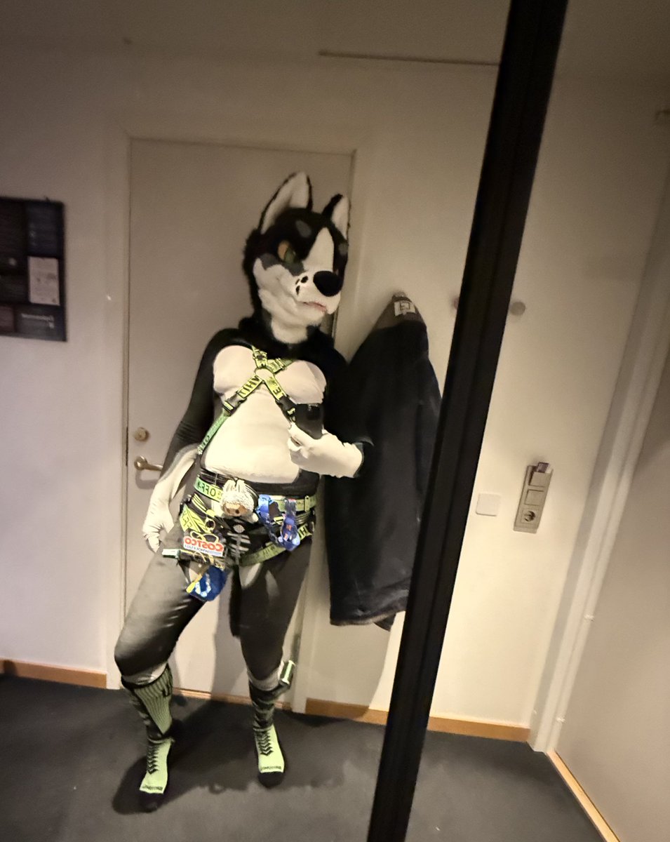 pinglee_deer's tweet photo. the AD dance fit is ready. Hopefully this isn't too sexy for #NFC2026 "2 whole" layers of clothing, WITH a labubu sandwich in between. Don't worry the labubu is also wearing a harness, his name is labingbong. https://t.co/zhT2CwAIdw