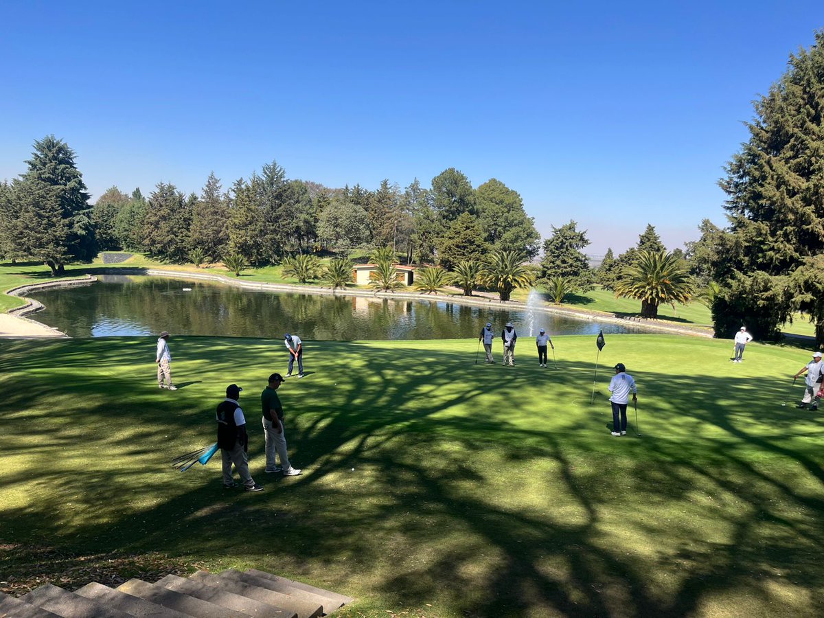 AGVM Golf tweet media