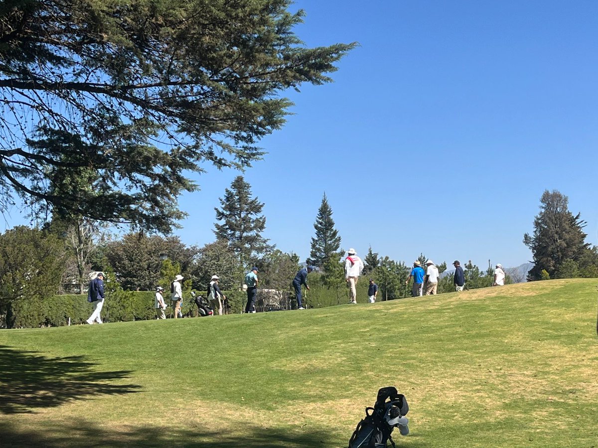 AGVM Golf tweet media