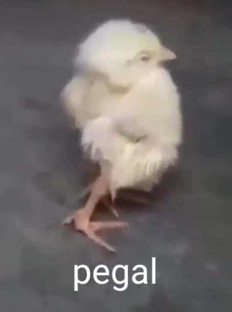 Noir | COMMS OPEN✨ tweet media