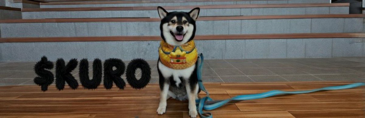 Shh… not everyone sees this.

Ryoshi made only 4 posts.

No interviews. No explanations.

Ca :

25TSapzsyrSH12e3HFP3ZMb3Vk5Az2oLXooGSDcVdoge

In the last one “Phase 1 Complete” the dog 

wasn’t the original Shiba.

It was a Kuro. A black Shiba.

One dog became the Doge killer.