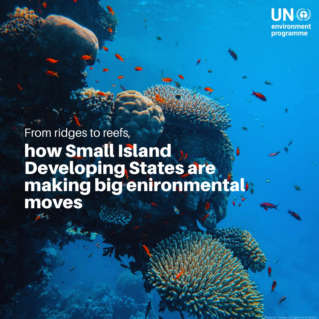 UN Environment Programme tweet media