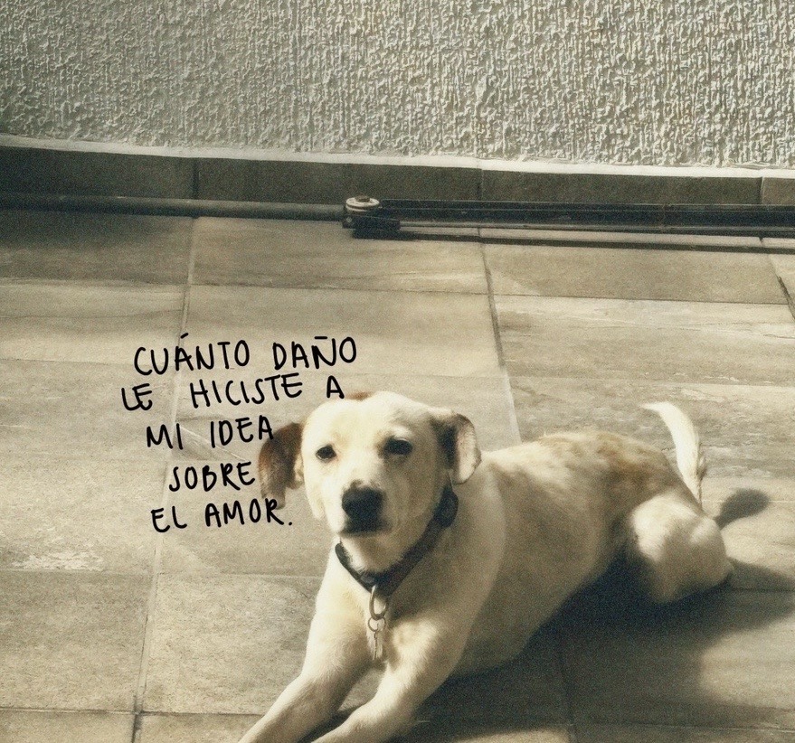 Carola (@minidramatica) on Twitter photo 