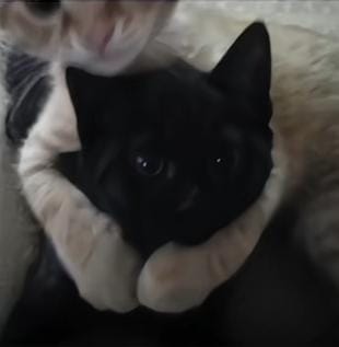 Tayrant2025 tweet media