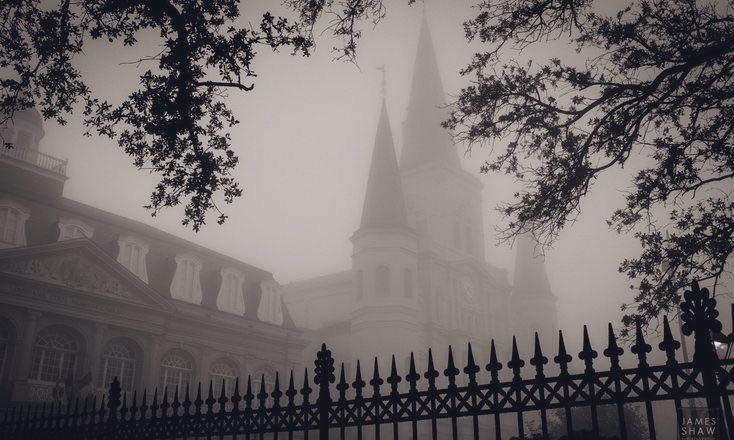 spookyxxboobs's tweet photo. foggy rainy day vibes https://t.co/8lZ3gi2tIS