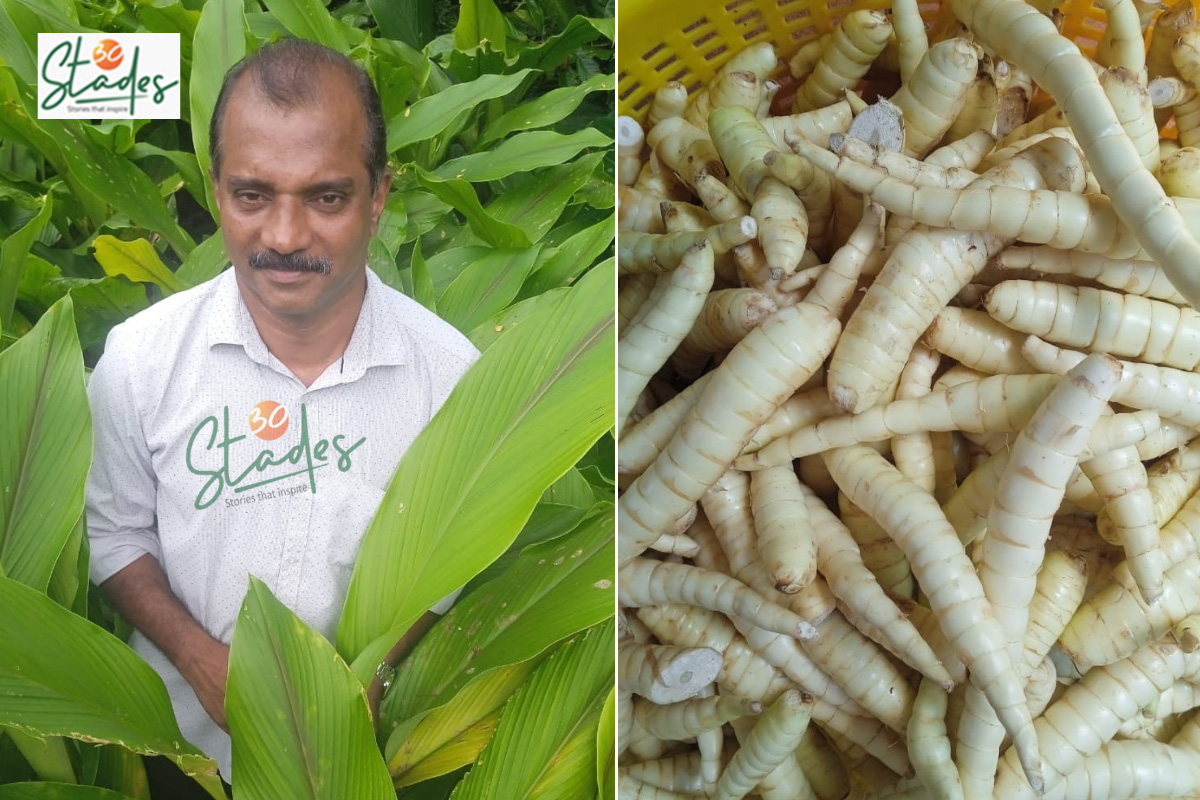 In 2015, Sibi K John began making arrowroot powder from tubers growing in his backyard. With a rising demand for traditional and gluten-free foods, he began arrowroot farming over 1 acre and earns Rs8 lakh a year from its powder:

30stades.com/farming/kerala…
 #farming #kerala