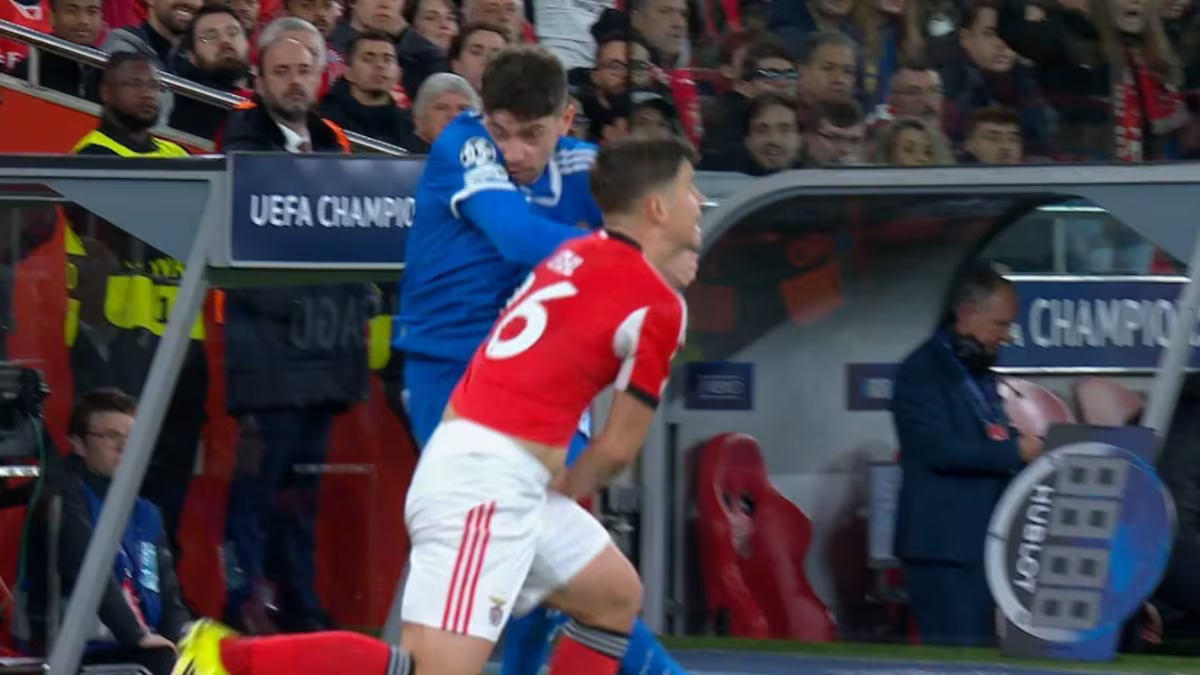 Madrid Zone tweet media