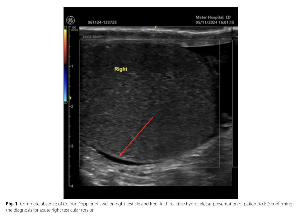 CardioMotorizado tweet media