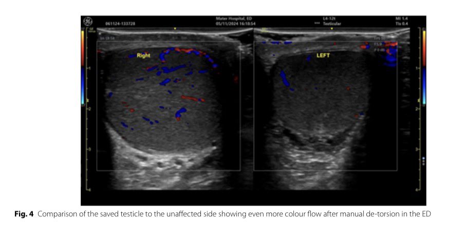 CardioMotorizado tweet media