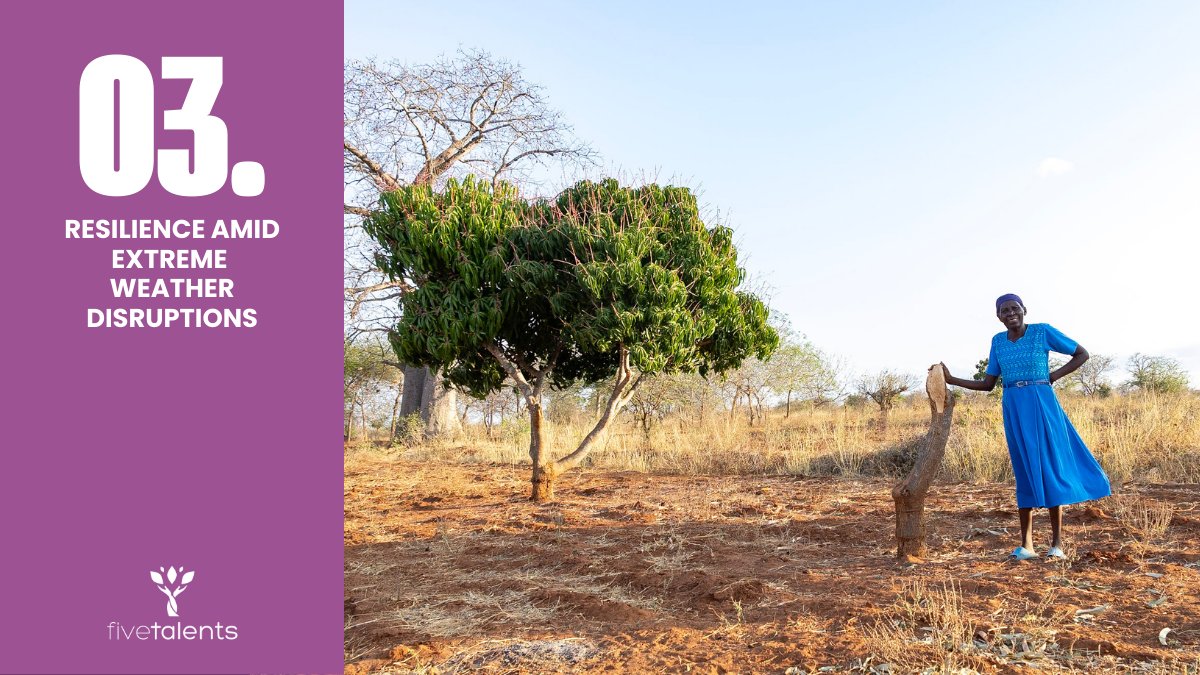 fivetalents tweet media